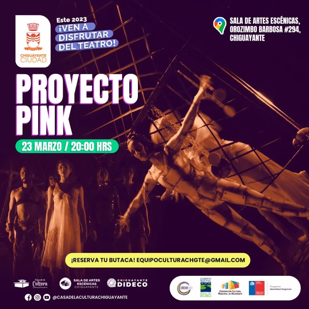 “Proyecto Pink” de Colectivo Artemisa