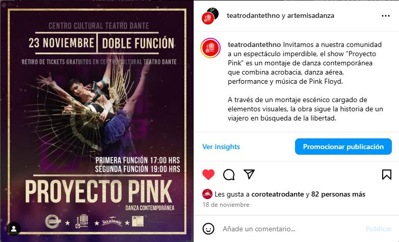 Obra de danza “Proyecto Pink”